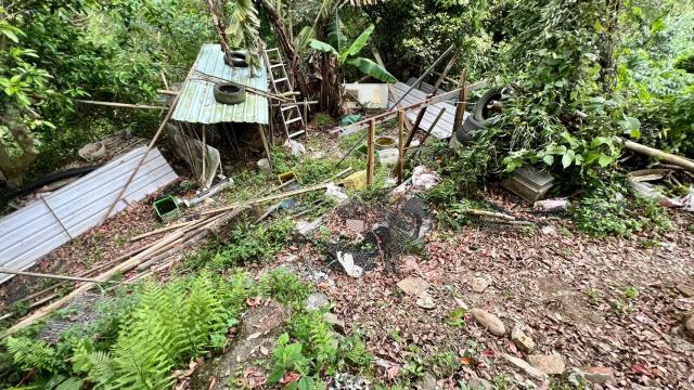 新竹竹東農地-13