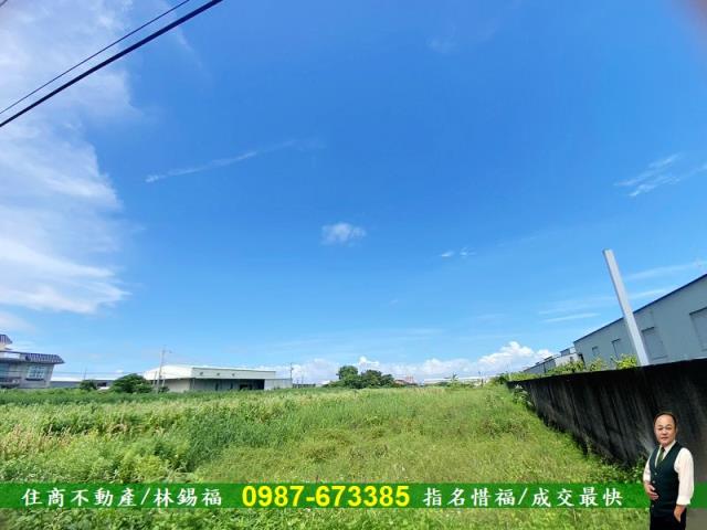 安定農地-6