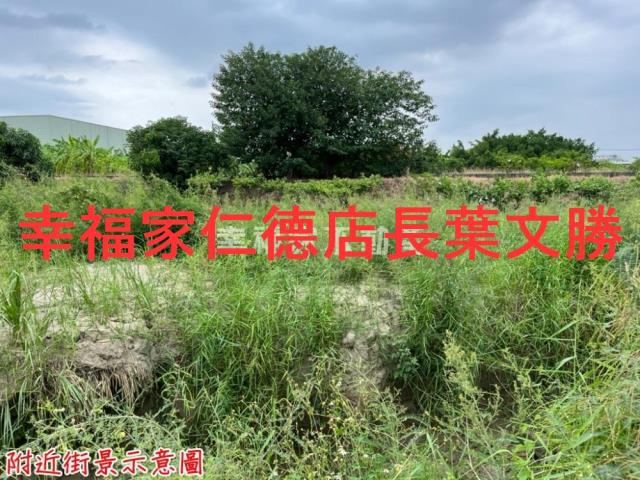安定農地-4