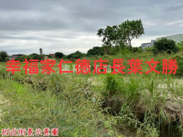 安定農地-7