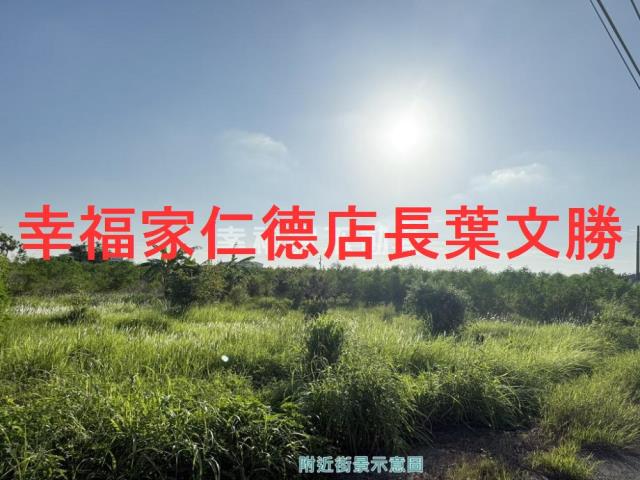 安定農地-13