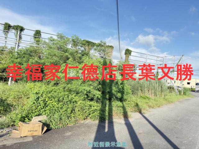 安定農地-8
