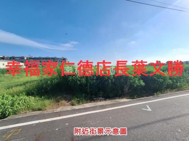 安定農地-6