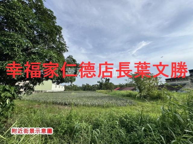 新化農地-11