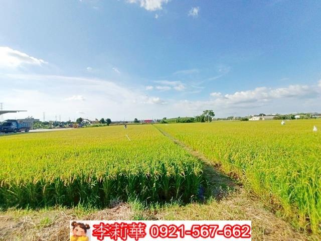 六甲農地-10