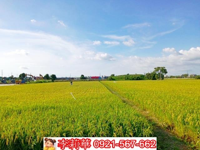 六甲農地-11
