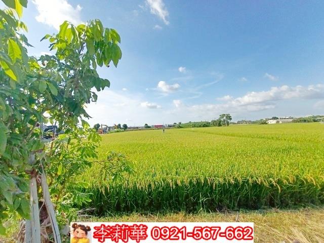 六甲農地-12