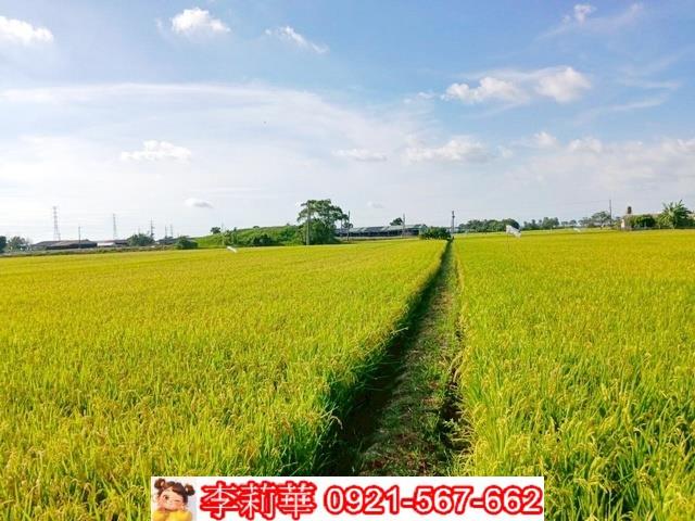 六甲農地-13