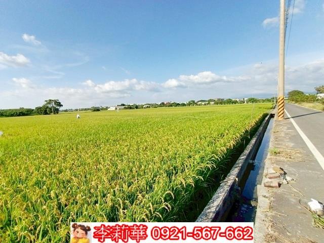 六甲農地-6