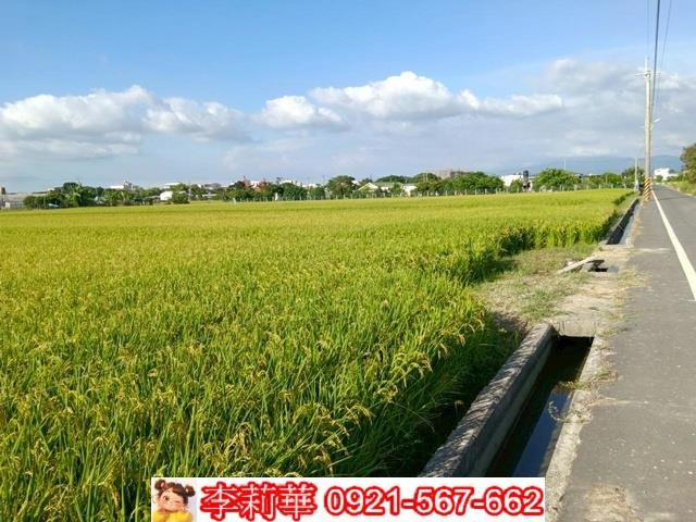 六甲農地-7