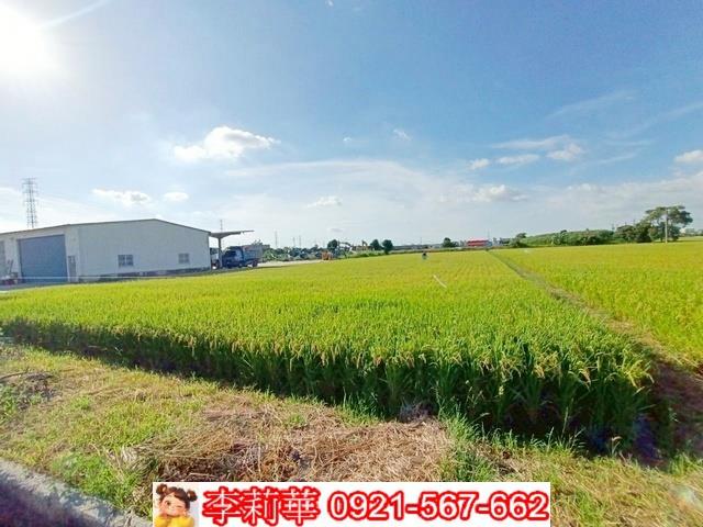 六甲農地-8