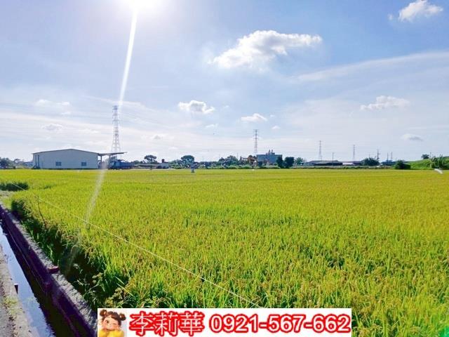 六甲農地-9