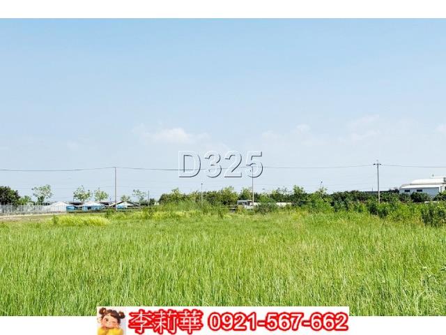 麻豆農地-12