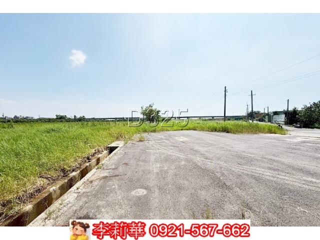 麻豆農地-4