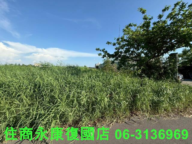 七股農地-4