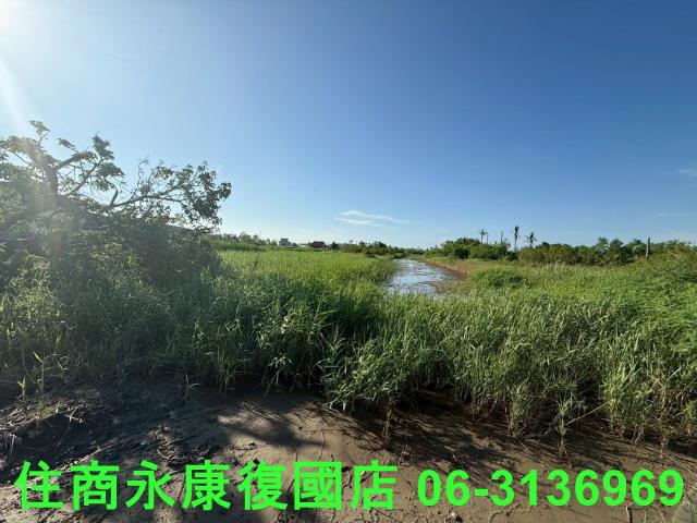 七股農地-5