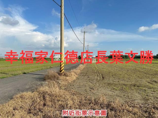 台南善化農地-6