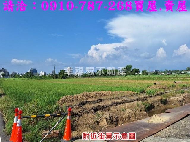 台南善化農地-11
