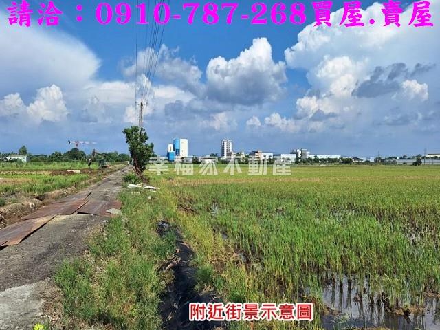 台南善化農地-12