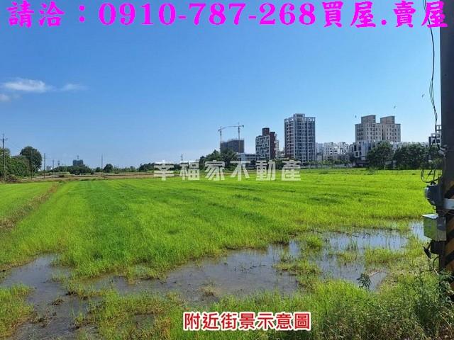 台南善化農地-1