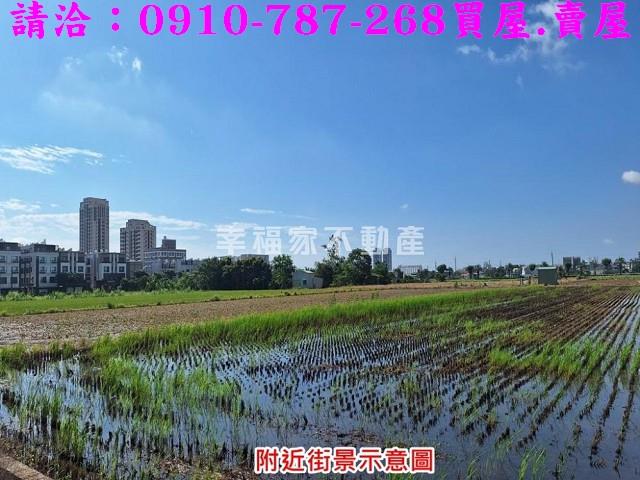 台南善化農地-2