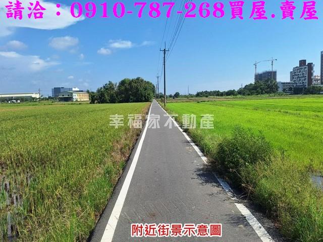 台南善化農地-5