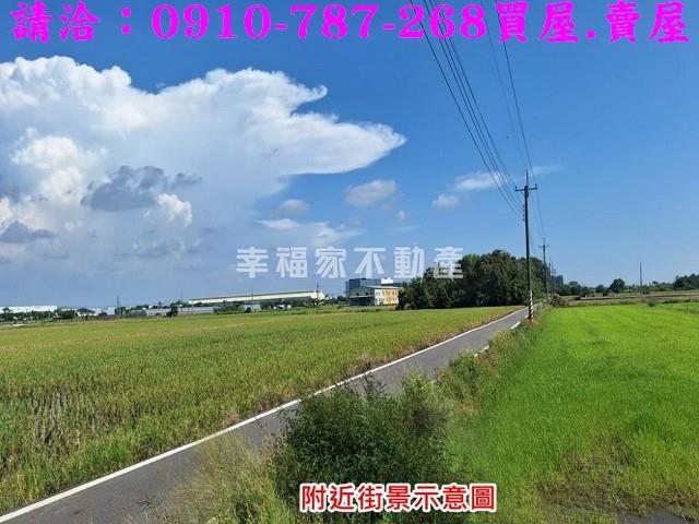 台南善化農地-6