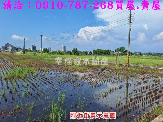 台南善化農地-7