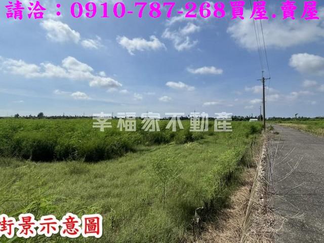 新市農地-6