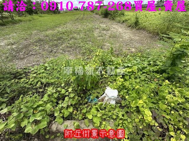 台南農地-12