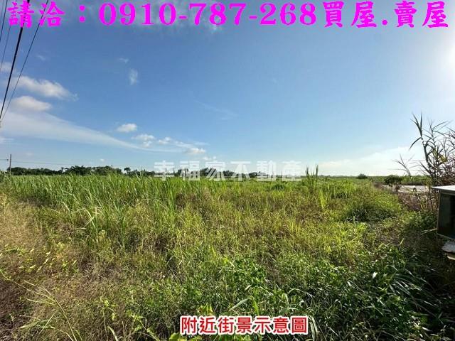 台南農地-5