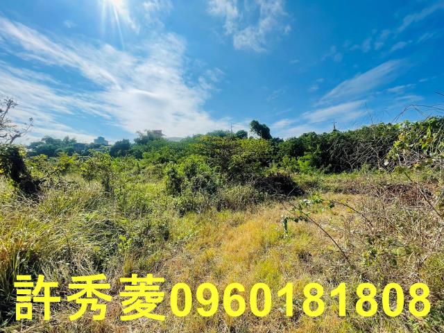 高雄燕巢農地-5