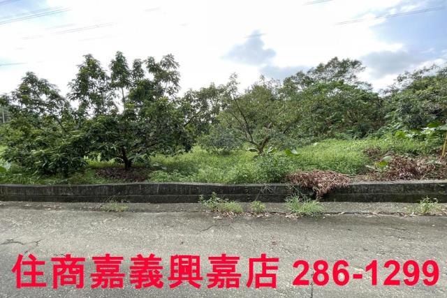 竹崎農地-9