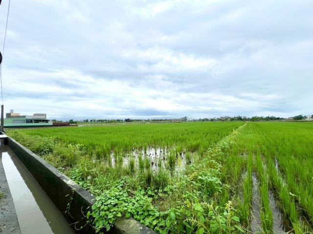 鹿草農地-4