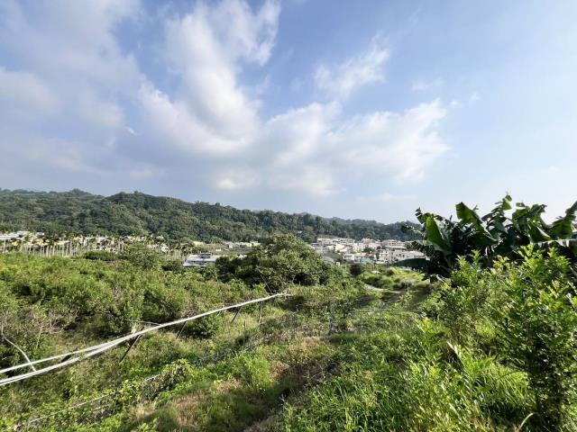 台中農地-1
