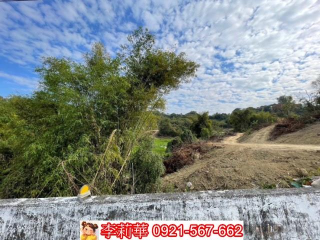 玉井農地-7
