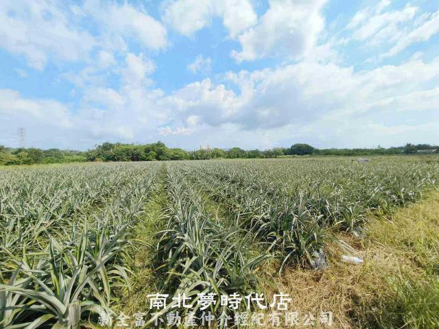 山上農地-2