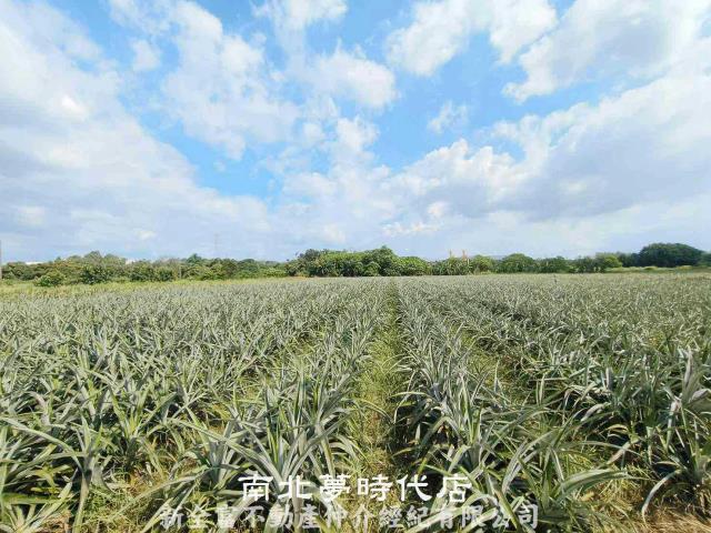 山上農地-3