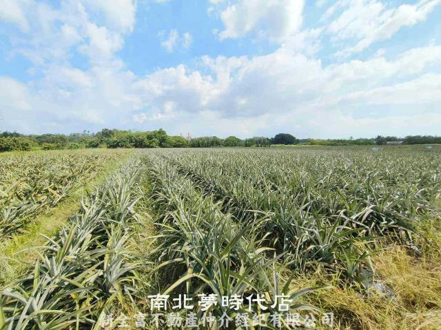 山上農地-6