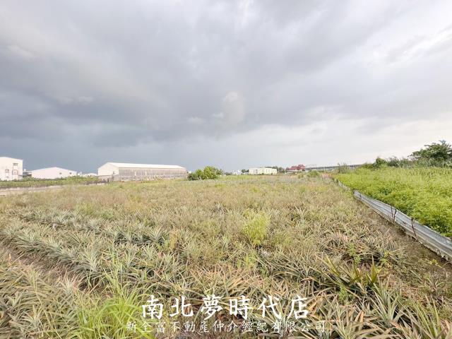 新化農地-10