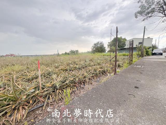 新化農地-5