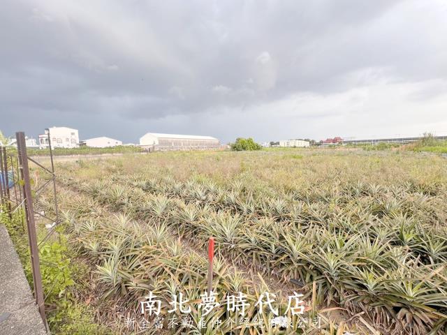 新化農地-8