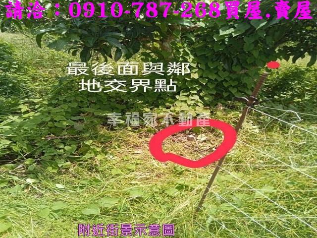 南化農地-11