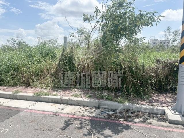 麻豆工業地-1