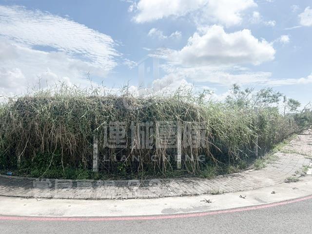麻豆工業地-2