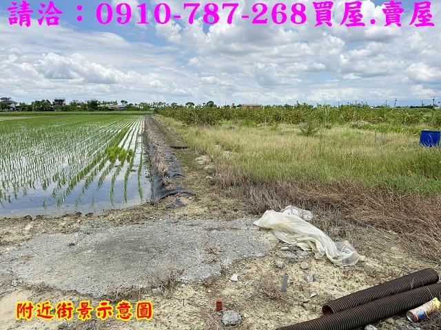 台南柳營農地-12
