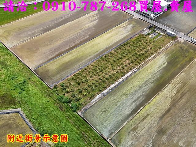 台南柳營農地-4