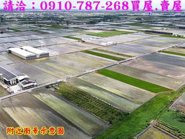 台南柳營農地-6