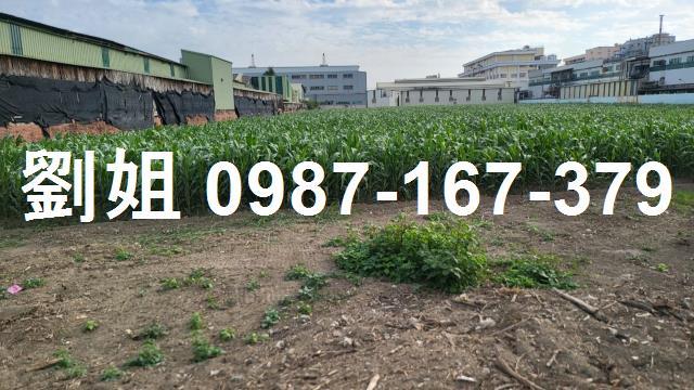 麻豆工業地-2