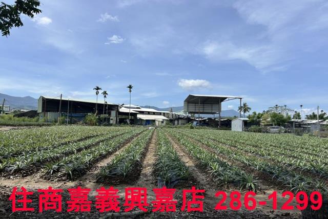 中埔農地-6